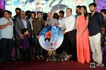 Weekend Love Movie Audio Launch